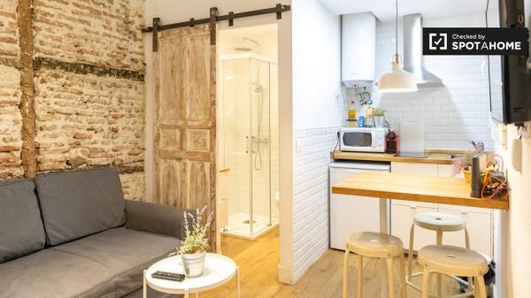 studio apartment for rent in Lavapiés, Madrid