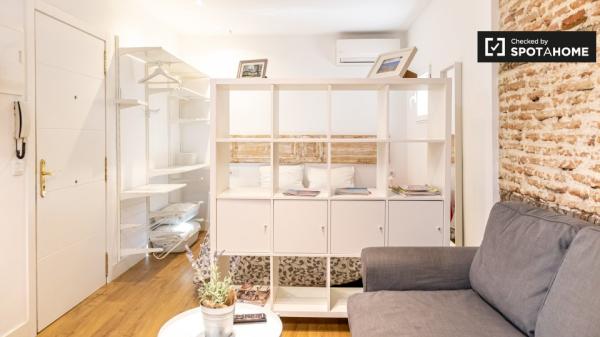 studio apartment for rent in Lavapiés, Madrid