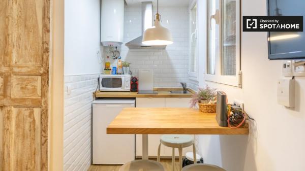 studio apartment for rent in Lavapiés, Madrid