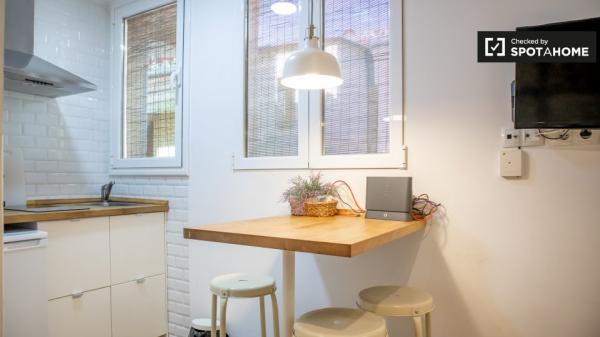 studio apartment for rent in Lavapiés, Madrid