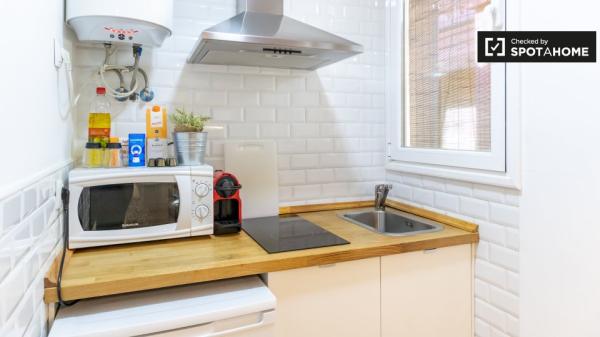 studio apartment for rent in Lavapiés, Madrid