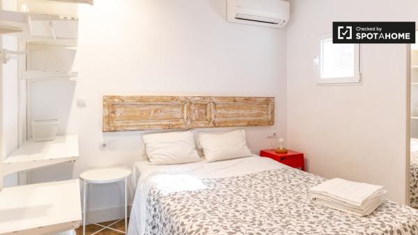 studio apartment for rent in Lavapiés, Madrid