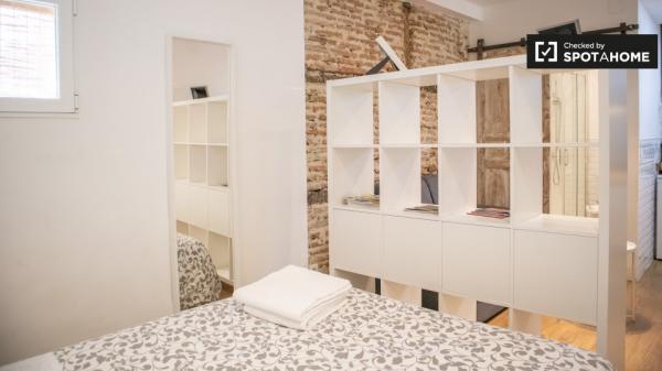 studio apartment for rent in Lavapiés, Madrid