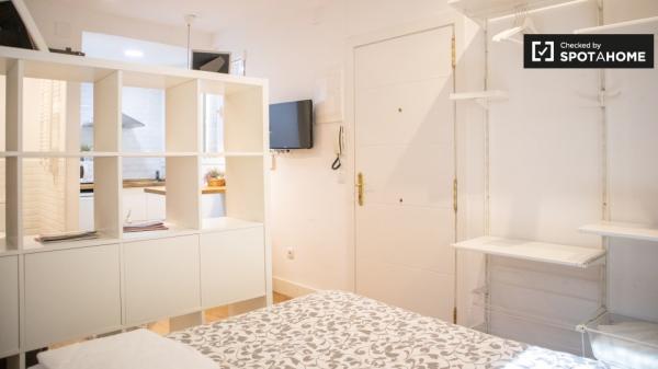 studio apartment for rent in Lavapiés, Madrid