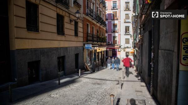 studio apartment for rent in Lavapiés, Madrid