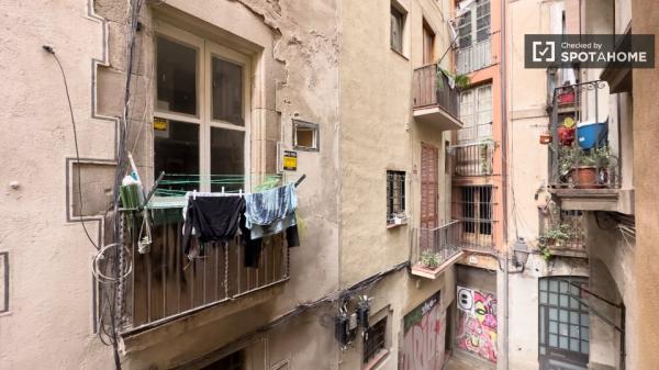 Habitación en apartamento de 3 habitaciones en el centro de Barcelona Ubicación