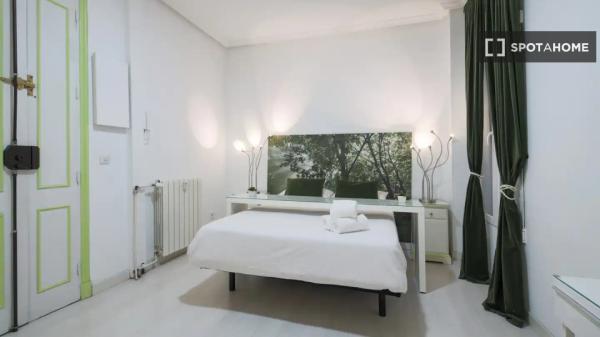 Studio apartment for rent in Madrid