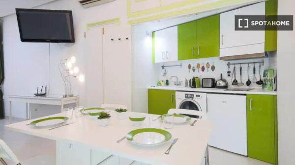 Studio apartment for rent in Madrid