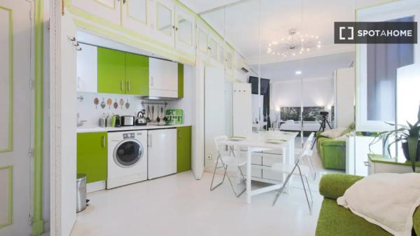 Studio apartment for rent in Madrid