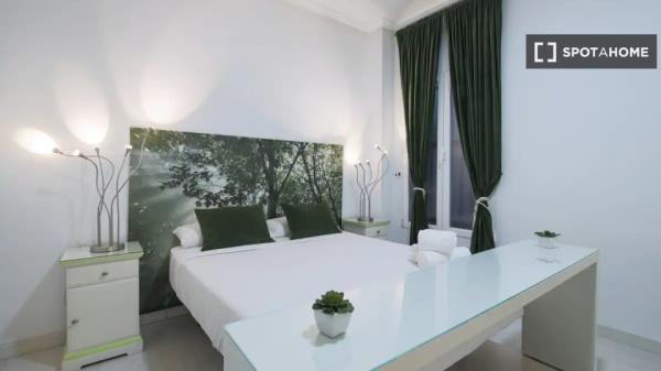 Studio apartment for rent in Madrid