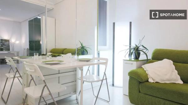 Studio apartment for rent in Madrid