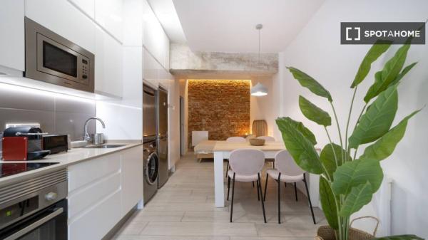 Apartamento de 1 dormitorio en alquiler en Madrid