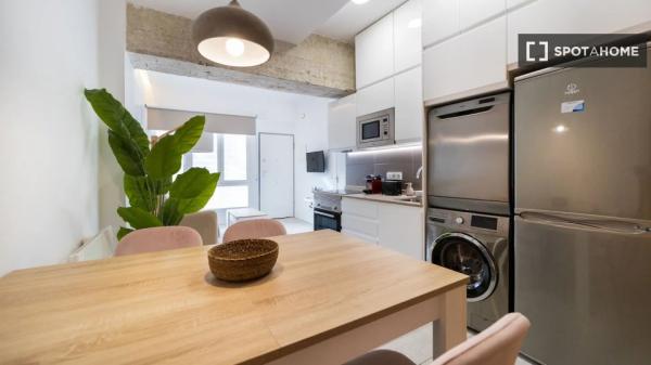 Apartamento de 1 dormitorio en alquiler en Madrid