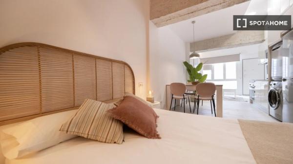 Apartamento de 1 dormitorio en alquiler en Madrid