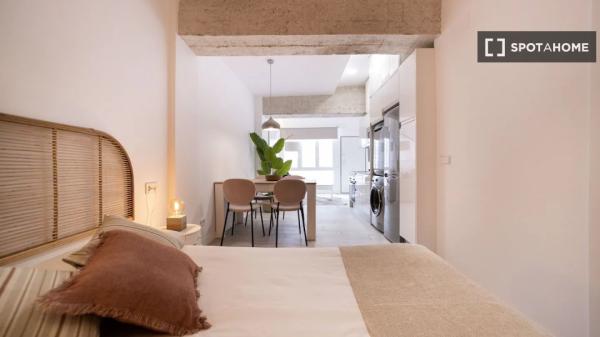 Apartamento de 1 dormitorio en alquiler en Madrid