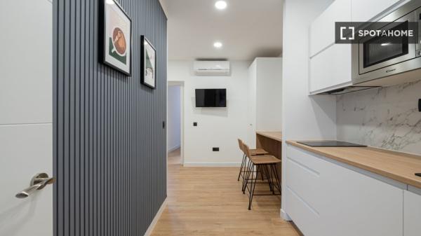 Studio 2 chambres à louer dans un appartement de 12 pièces