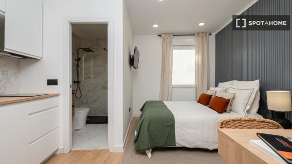 Studio 2 chambres à louer dans un appartement de 12 pièces