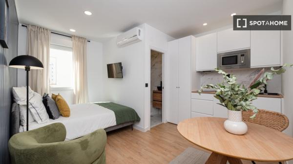 Studio 2 chambres à louer dans un appartement de 12 pièces