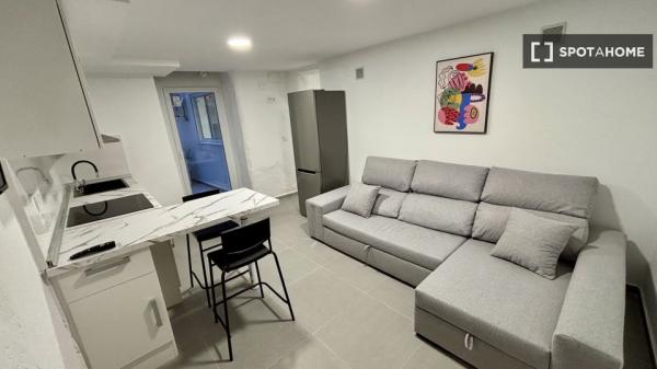 Whole 1 bedrooms apartment in València