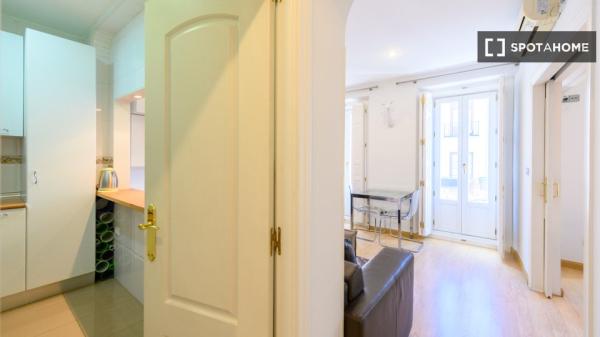 Apartamento entero de 1 habitaciones en Madrid