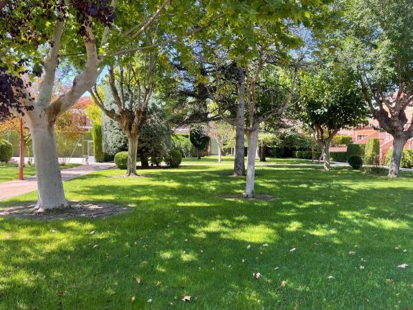 Chalet adosado en avenida Esteban Barbado, 2