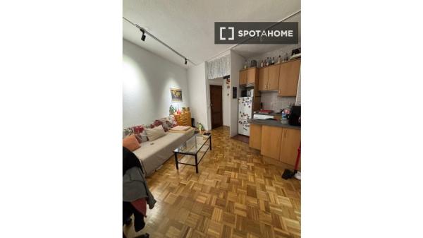 Apartamento entero de 1 habitaciones en Madrid