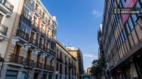 1-bedroom apartment for rent in Malasaña, Madrid