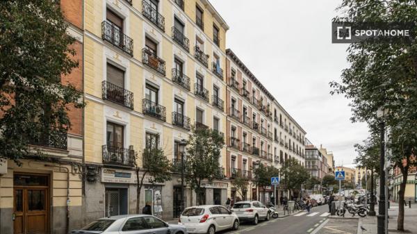 Whole 1 bedrooms apartment in Madrid