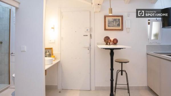 Apartamento de estúdio para alugar em Lavapiés, Madrid