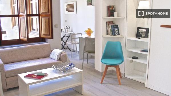 Apartamento de 1 dormitorio en alquiler en Salamanca