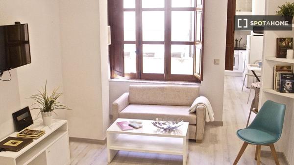 Apartamento de 1 dormitorio en alquiler en Salamanca