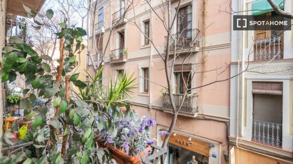 Cozy, spacious and bright in Carrer Verdi