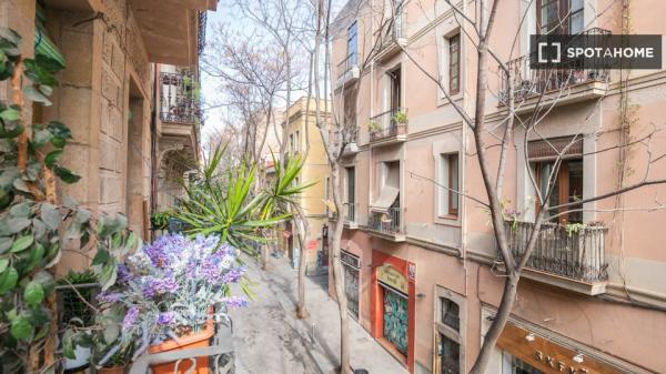 Cozy, spacious and bright in Carrer Verdi