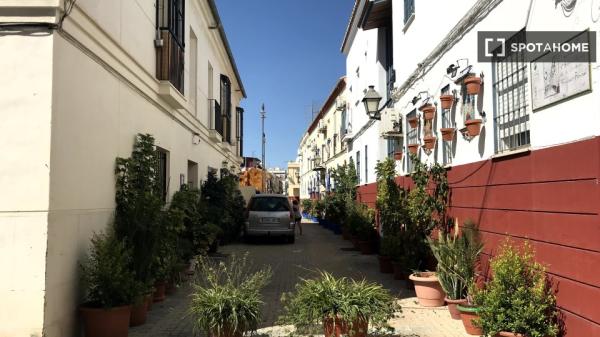 Studio-Apartment zu vermieten in Centro, Málaga