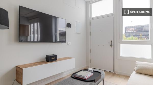 Apartamento de 1 dormitorio en alquiler en Madrid