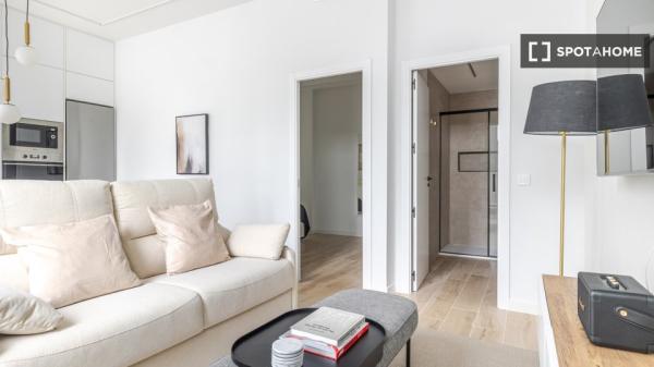 Apartamento de 1 dormitorio en alquiler en Madrid