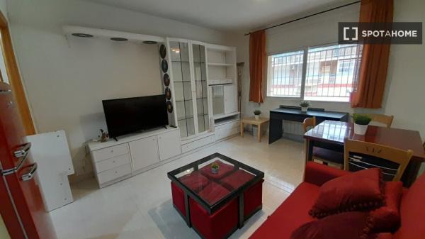 Whole 1 bedrooms apartment in Madrid