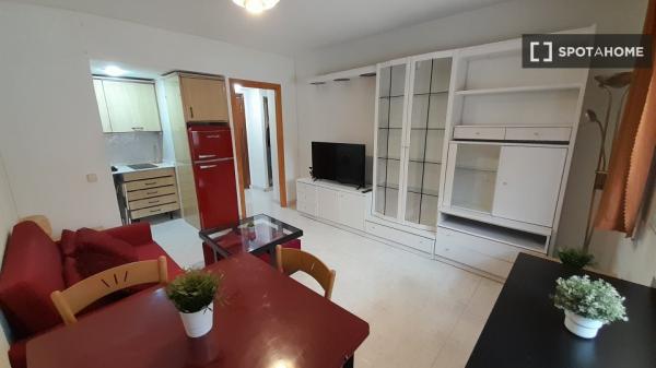 Whole 1 bedrooms apartment in Madrid